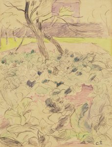 El campo de coles, c.1880 de Camille Jacob Pissarro